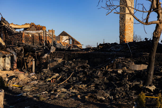 Reliable Structural Rebuild contractor in Lumberton, TX by Fire Damage Doption